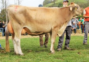 141011Nidwalden 153